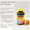 Viên uỗng Prenatal Multi + DHA 150 viên
